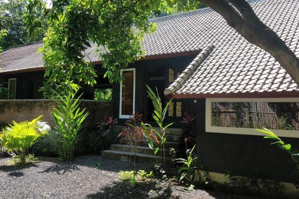 Villa King: Unique Villa With Indoor Swimming Pool Amed Exterior foto