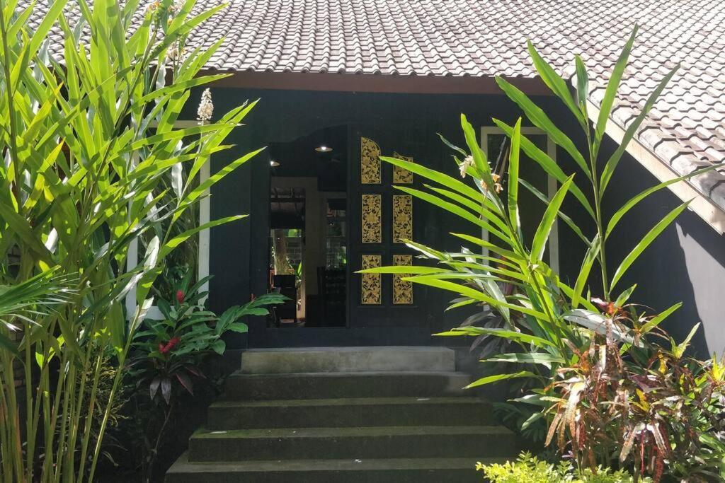 Villa King: Unique Villa With Indoor Swimming Pool Amed Exterior foto