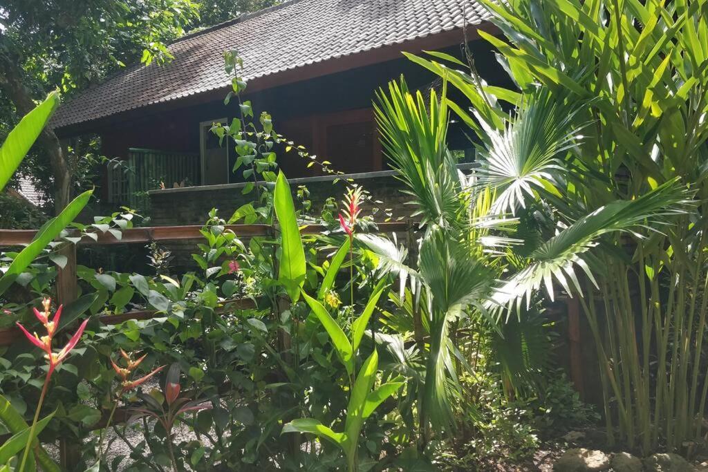 Villa King: Unique Villa With Indoor Swimming Pool Amed Exterior foto
